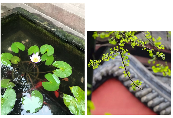 QH9H[@)`KY[8$FPEG6ZGDIT.png QH9H[@)`KY[8$FPEG6ZGDIT.png